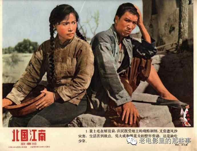 做假维多利亚州驾驶执照